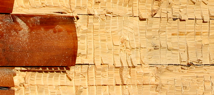 Log Home Face Restoration  Pantego,  North Carolina